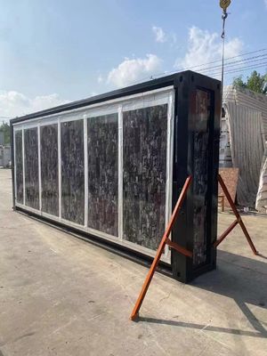 Maison de conteneurs multifonctions de 20 pieds avec une structure luxueuse en acier